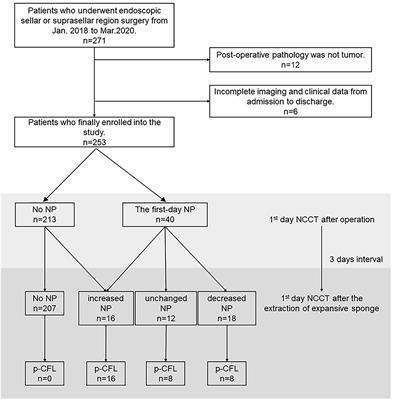 Diagnostic Value of Non-Contrast CT in Cerebrospinal Fluid Leakage After Endoscopic Transnasal Surgery for Sellar and Suprasellar Tumors